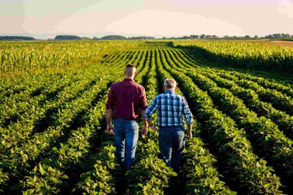 farming (1)