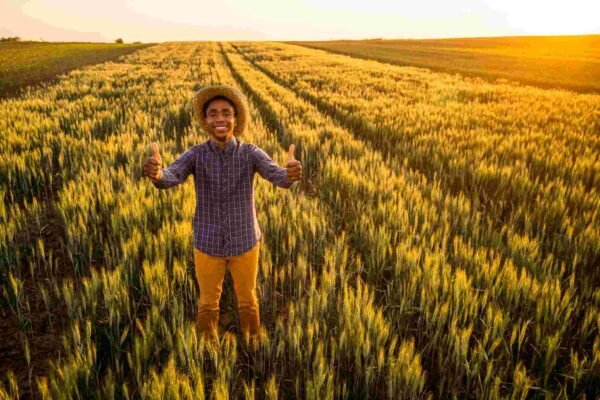 farming (22)